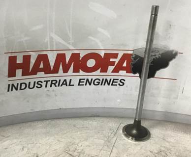 Cummins INTAKE VALVE 3685996 NEW