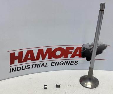 Cummins INTAKE VALVE 4016438 NEW