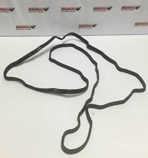 Cummins KLEPDEKSELPAKKING / TUSSENDEKSEL 4899231 NEW