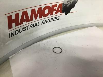 Cummins O-RING 3867651 NEW