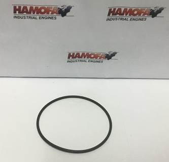 Cummins O-RING 4891300 NEW