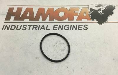 Cummins O-RING INJECTORBUS 3007759 NEW