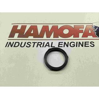 Cummins O-RING, SQUARE 3024709 NEW