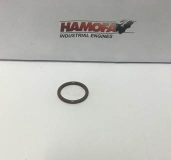 Cummins SEAL, O-RING 4898439 NEW
