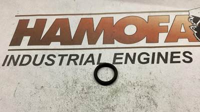 Cummins SEAL,O RING 3910824 NEW