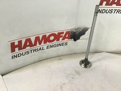 Cummins VALVE - EXHAUST 3686661 NEW