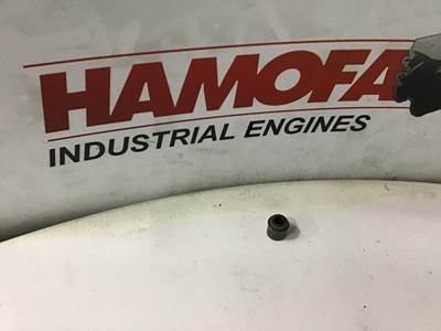 Cummins VALVE SEAL, INLET+EXHAUST C6204414541 NEW