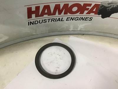 DAF AFDICHTRUBBER 1312211 NEW