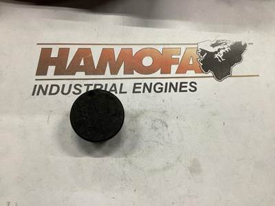 DAF AFDICHTSTOP 2256747 NEW