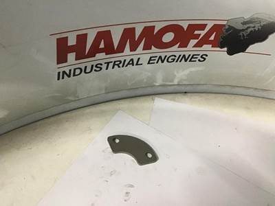 DAF BORGPLAATJE NOKKENAS 1247943 NEW