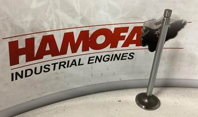 DAF INTAKE VALVE 1789874 NEW