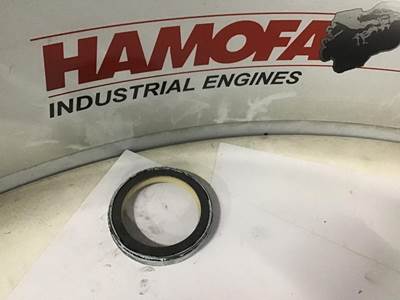 DAF KEERRING VENTIL 1669679 NEW