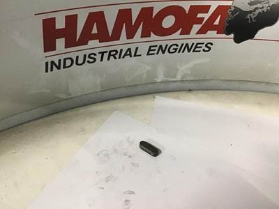 DAF KRUKASSPIE 306046 NEW