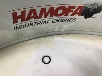 DAF O-RING 0310999 NEW