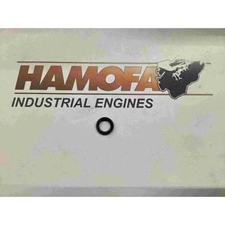 DAF O-RING 0513360 NEW