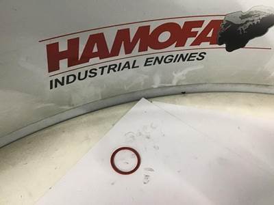 DAF O-RING 296596 NEW