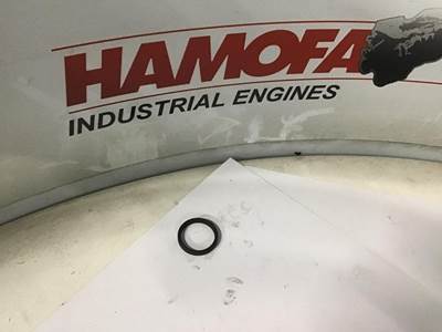 DAF O-RING 366912 NEW