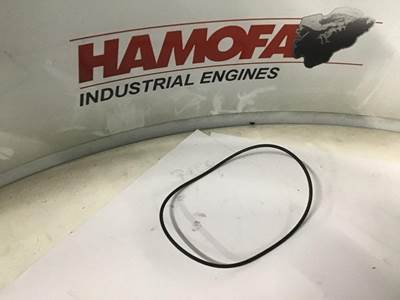 DAF O RING BRANDSTOFPOMP / VOORSCHILD 277048 NEW