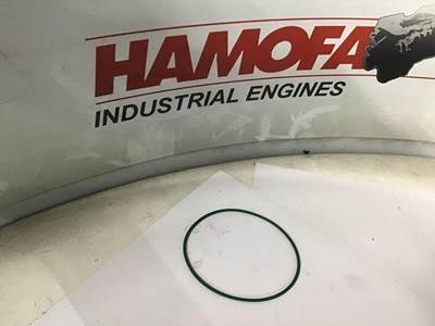 DAF O RING WATERPOMP / BLOK 1280877 NEW