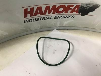 DAF O RING WATERPOMPHUIS 1288718 NEW