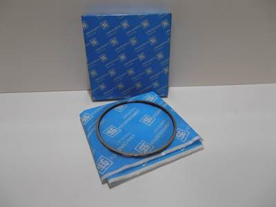 DAF PISTONRINGSET DAF 1160 ATI 800005010000 NEW