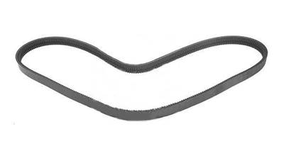 DAF POLY V-RIEM 2001804 NEW