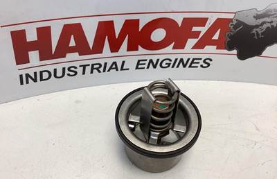 Detroit HERMOSTAAT 74°C 5106240 NEW