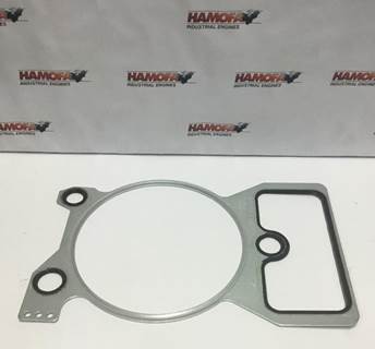 Deutz CYLINDER HEAD GASKET 3G 04264006 NEW