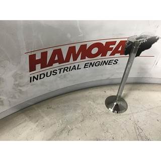 Deutz INLET VALVE 04146225 NEW