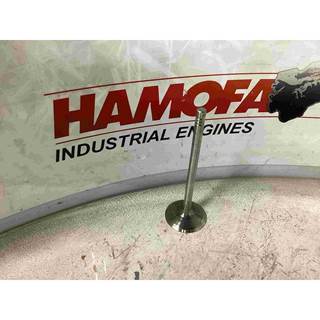 Deutz INTAKE VALVE 04231979 NEW