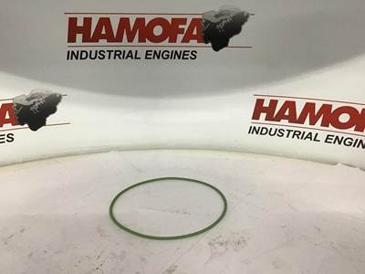 Deutz O-RING, CYLINDER LINER 01175789 NEW