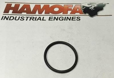 Deutz O-SEAL 01153891 NEW