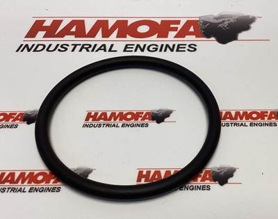 Deutz O-SEAL 01182379 NEW