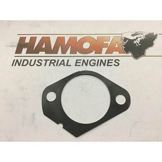 Deutz PAKKING UNITPOMP 0,35MM DIK 04287618 NEW