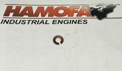 Deutz RETAINING WASHER 02417488 NEW