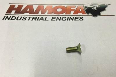 Deutz VERZONKEN INBUSSCHROEF VR OLIEPOMP 01133718 NEW