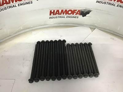 Elring CILINDERKOPBOUTEN-SET (SET VAN 26 STUKS) 445.210 N