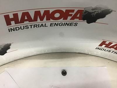 HATZ NUT 000050132300 NEW