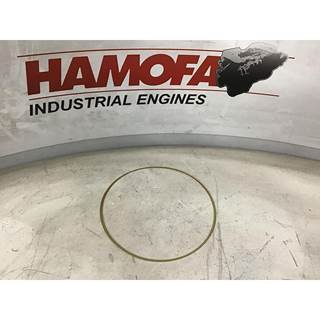 INTERSTATE MCBEE UM - Shim - Liner - .010 M-3924445 NEW