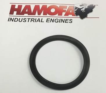 John Deere SEALING RING R113565 NEW