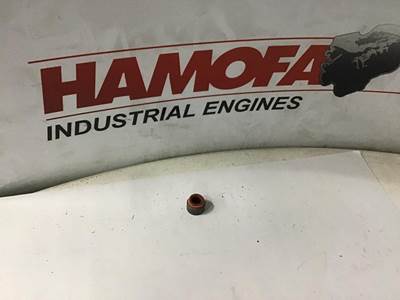 Liebherr VALVE SEAL, INLET+EXHAUST 10 12 03 34 NEW