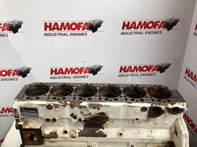 MAN 51.01101-3387 USED