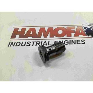 MAN BANJO BOLT OILER 51.05405-6004 NEW