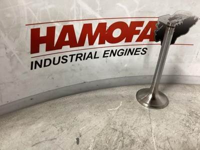 MAN INLET VALVE 51.04101-0438 NEW