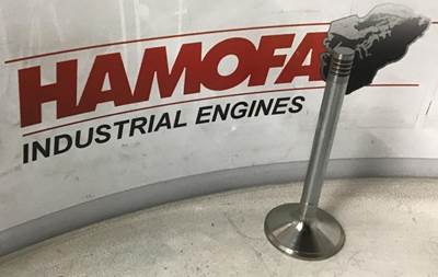 MAN INTAKE VALVE 51.04101-0499 NEW