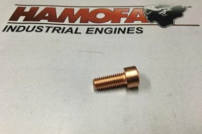 MAN INTERNAL TORX BOLT 51.90030-0083 NEW