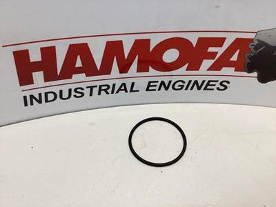 MAN O-RING 06.56343-1213 NEW