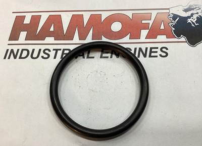 MAN O-RING 06.56930-2223 NEW