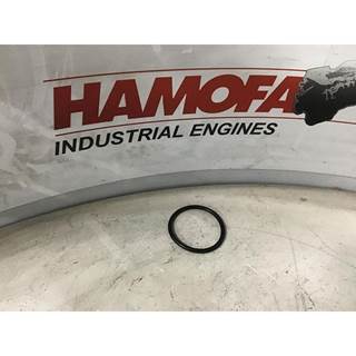 MAN O-RING 06.56937-2168 NEW