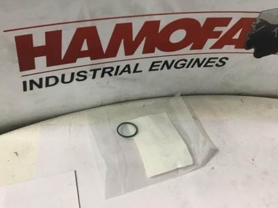 MAN SEALING RING 51.96501-0579 NEW